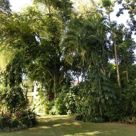 Balay Tuko Garden Inn Puerto Princesa Екстер'єр фото