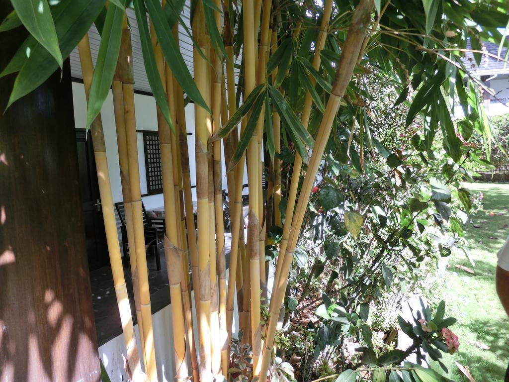 Balay Tuko Garden Inn Puerto Princesa Екстер'єр фото