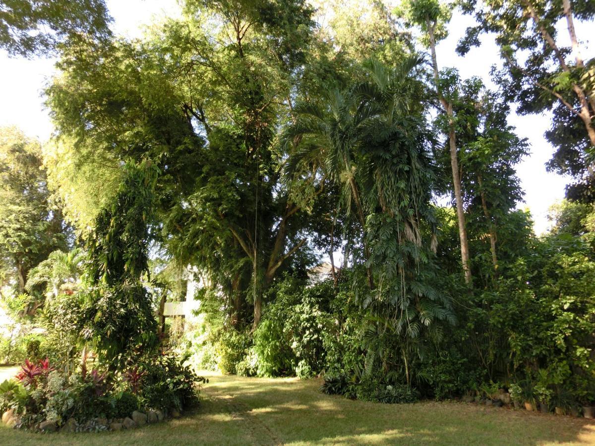 Balay Tuko Garden Inn Puerto Princesa Екстер'єр фото